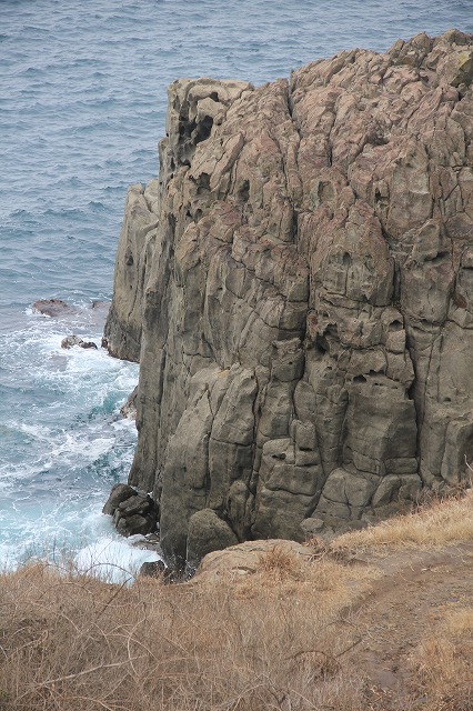 a0123003_8593720.jpg