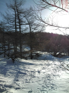 e0028904_189102.jpg