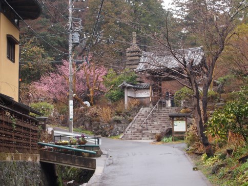 梅かまくら寺社特別参拝　覚園寺(2014.03.02)_e0245404_0563463.jpg