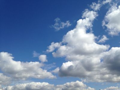 a0206808_1334299.jpg