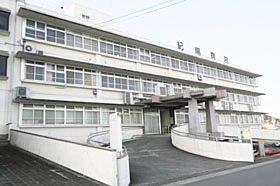 f0299108_10165167.jpg