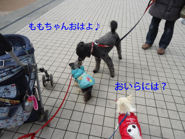 b0312810_17551244.jpg
