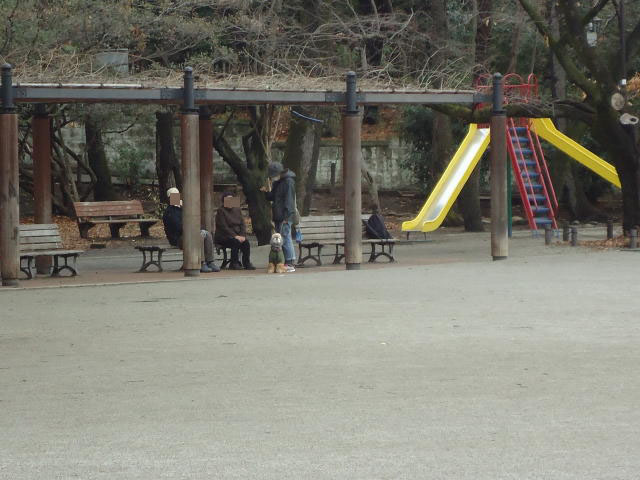 b0312810_1756410.jpg