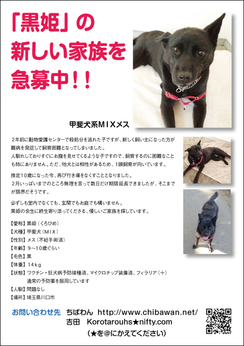 いろいろ甲斐犬体重 かわいい犬のアニメ いろいろ甲斐犬体重 かわいい犬のアニメ