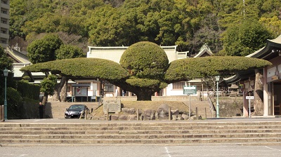 照国神社　　～鹿児島県鹿児島市～_b0228113_10075449.jpg