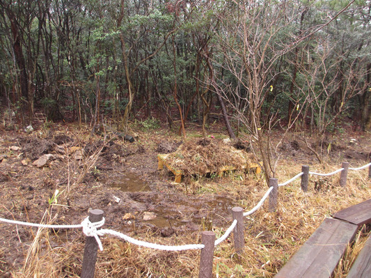 e0293913_227153.jpg