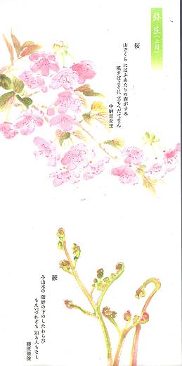 風流堂サンの花歌暦 弥生 雨漏り書斎