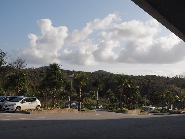e0303726_2127163.jpg