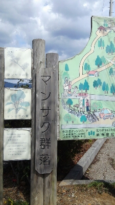 b0308627_16293963.jpg