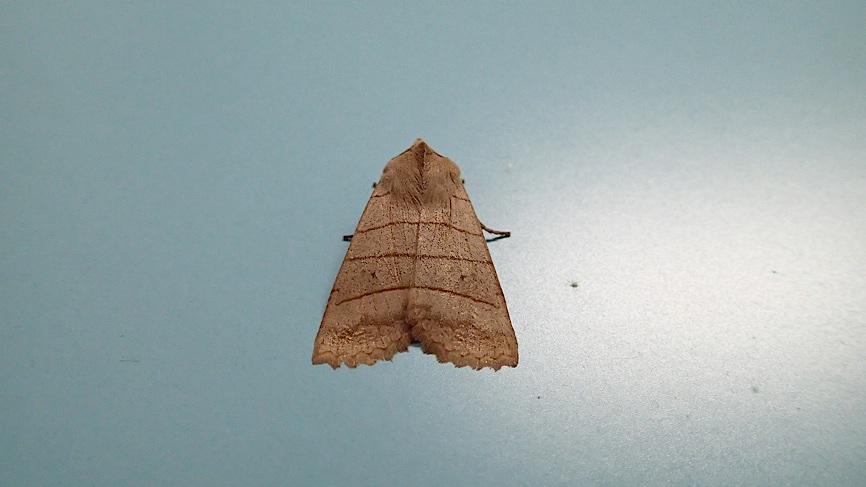 d0303129_2581036.jpg