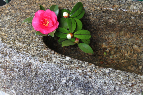 c0223630_1895075.jpg