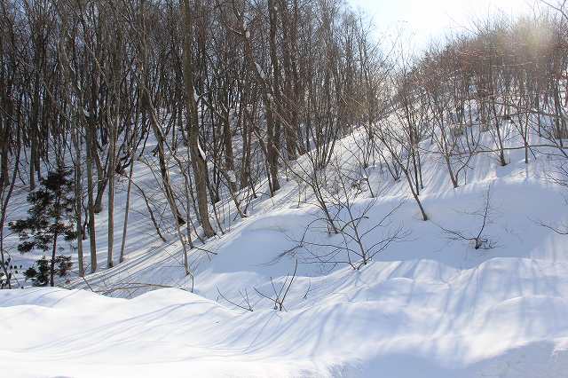 ２月２２日　雪の大山_a0045932_2217334.jpg