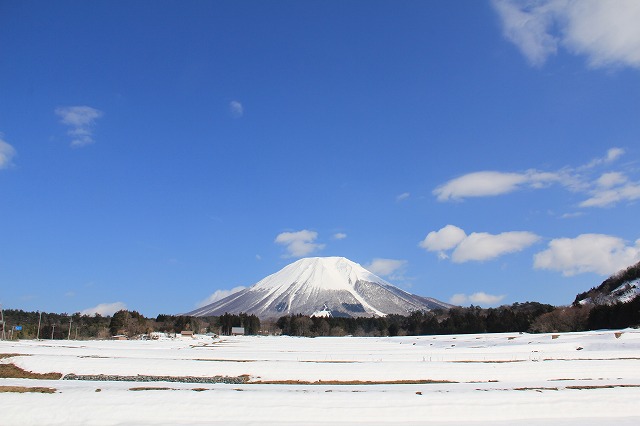 a0045932_2218101.jpg