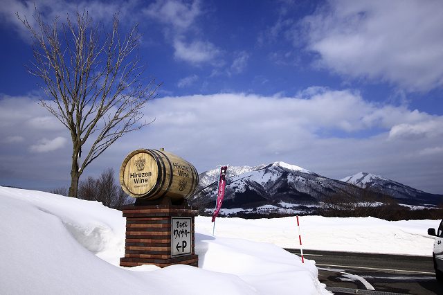 ２月２２日　雪の大山_a0045932_222707.jpg