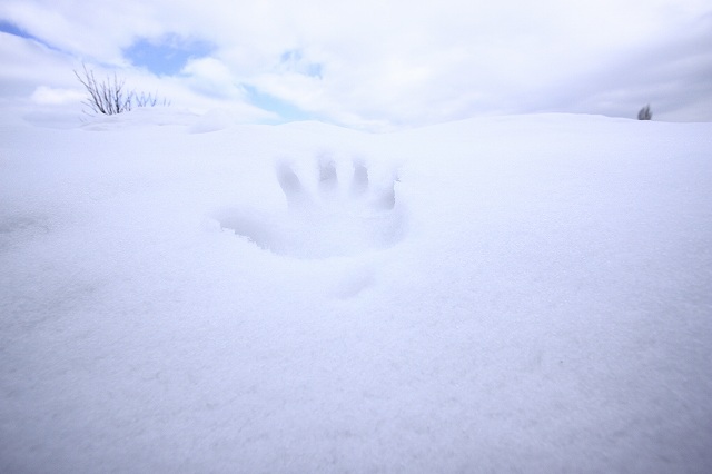 ２月２２日　雪の大山_a0045932_22271213.jpg