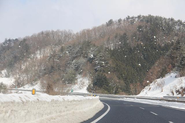 ２月２２日　雪の大山_a0045932_23272397.jpg