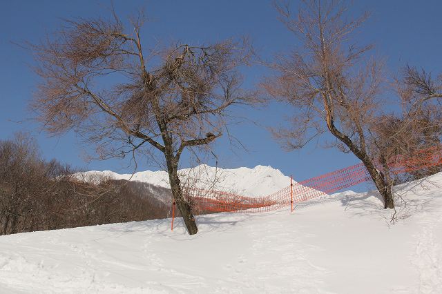 ２月２２日　雪の大山_a0045932_23303113.jpg