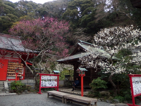 c0097838_19213640.jpg