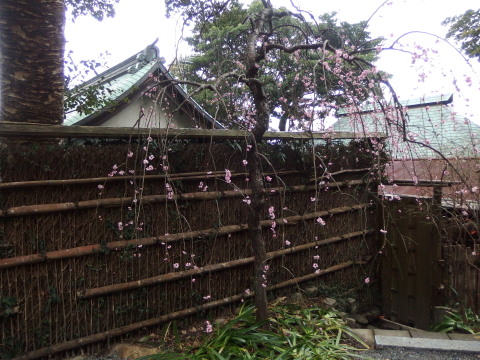 c0097838_20111422.jpg