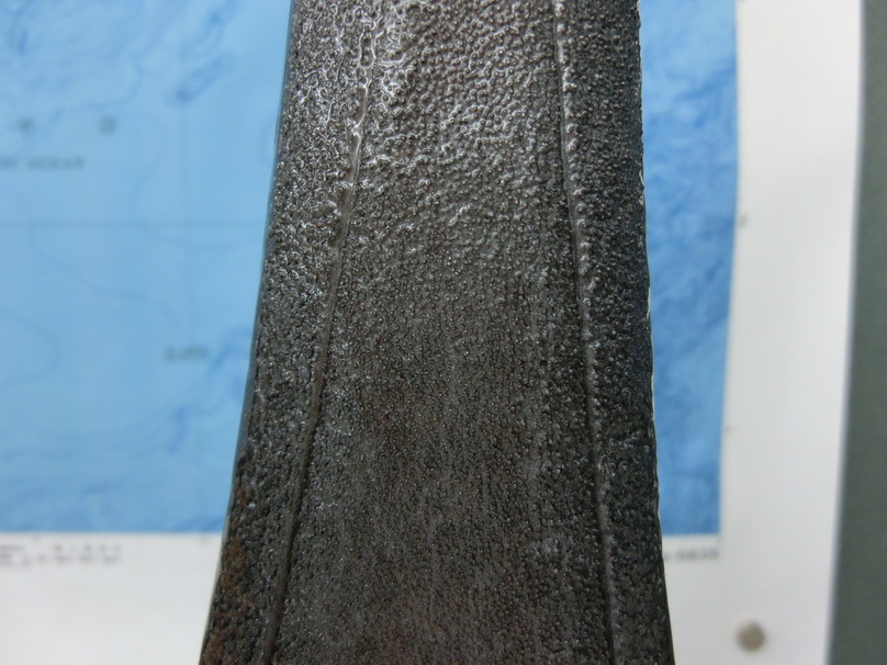 カジキのダミービル ”ビルの剥製のダミーモデル”【カジキ・マグロトローリング】_f0009039_13275940.jpg