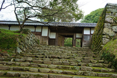a0135840_1101577.jpg