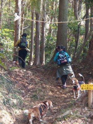 c0119142_0353274.jpg