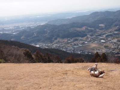 c0119142_0555937.jpg