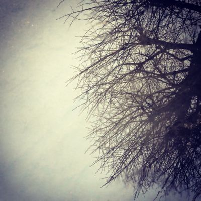 雨の日の散歩と、写真について_c0060143_017507.jpg