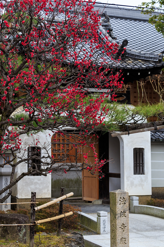 法住寺の梅と吊るし雛_f0155048_21401254.jpg