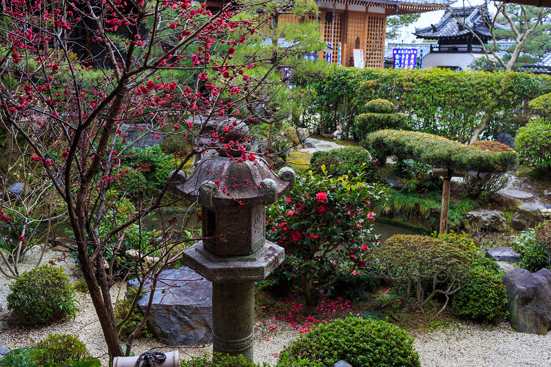 法住寺の梅と吊るし雛_f0155048_21535057.jpg