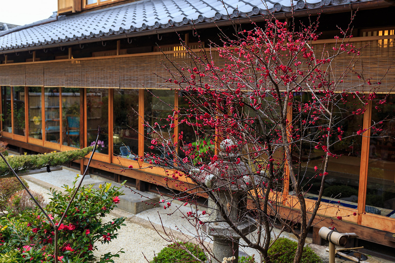 法住寺の梅と吊るし雛_f0155048_21544627.jpg