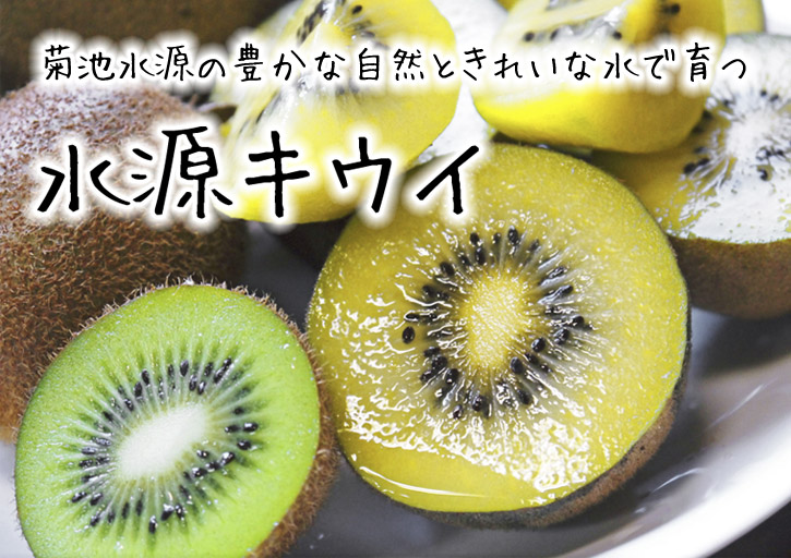 1キウイフルーツ 農薬不使用 コンパクト 山梨県産 - 果物