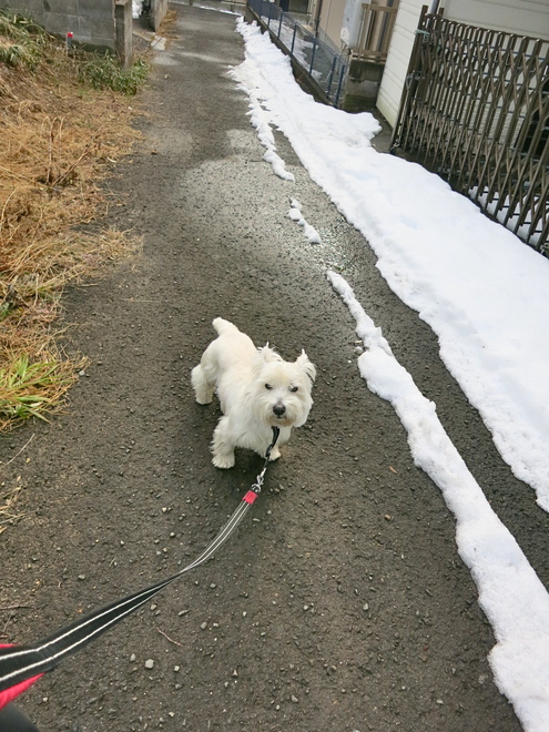 さくら姉さん! 再会..._c0260460_13405153.jpg