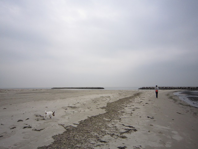 f0100871_15581177.jpg