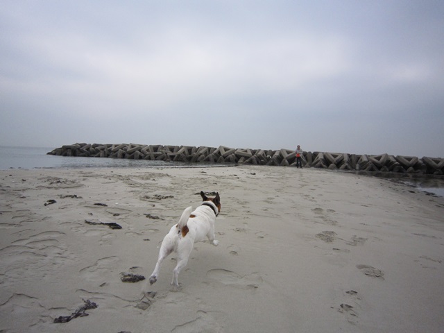 f0100871_160151.jpg