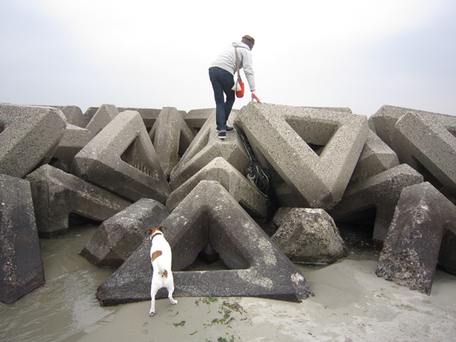 f0100871_1621065.jpg