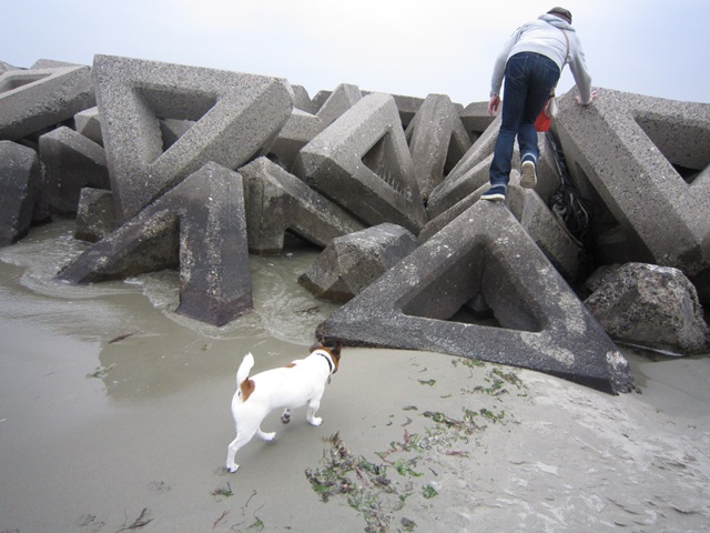 f0100871_1632176.jpg