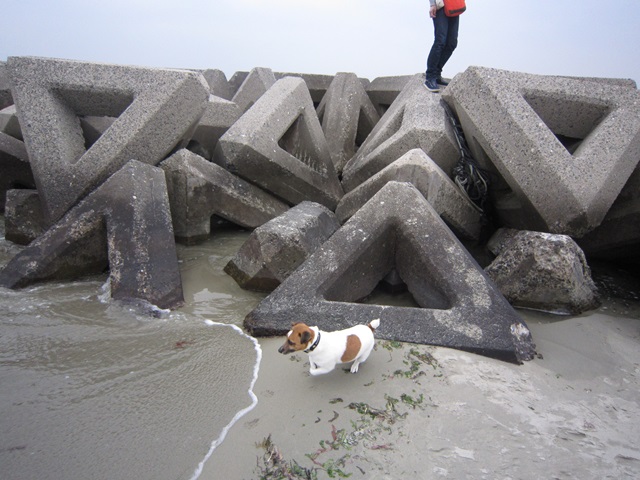 f0100871_1661246.jpg