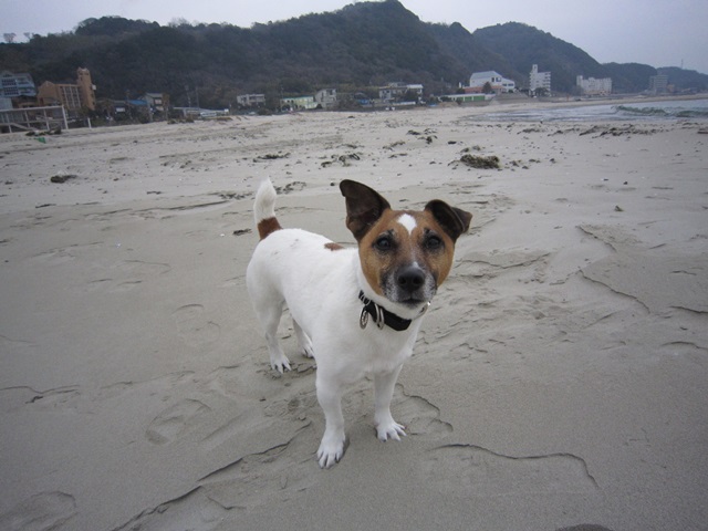 f0100871_167129.jpg