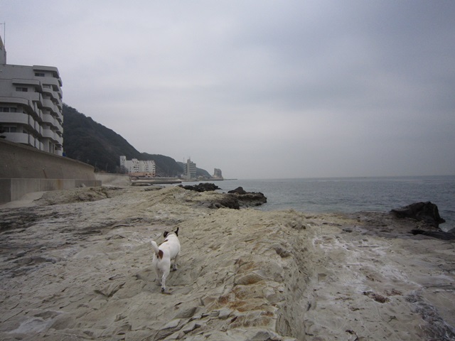 f0100871_1674916.jpg