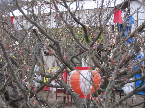 f0259373_09170918.jpg