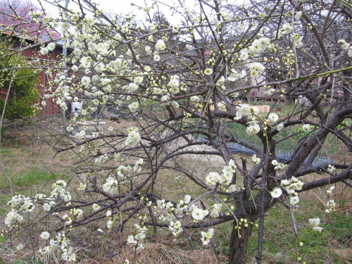 f0259373_09174218.jpg