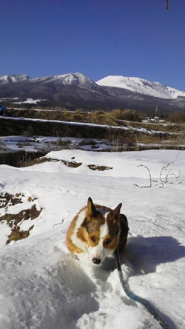 c0109778_1655501.jpg
