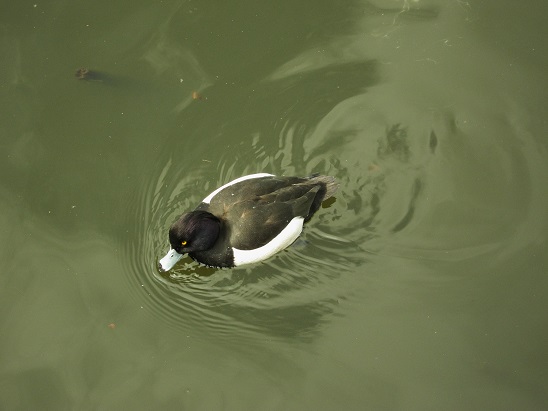 f0224492_17441.jpg