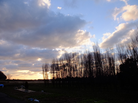 d0234293_18262443.jpg