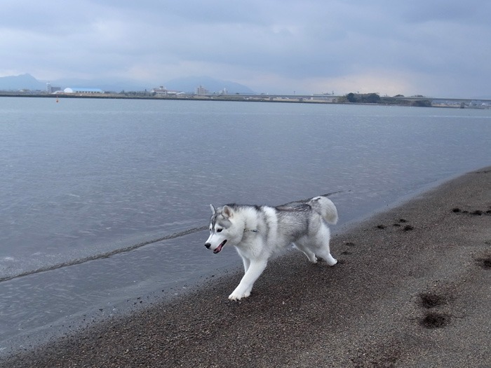 ひと足お先に(^o^)_c0049299_21522881.jpg
