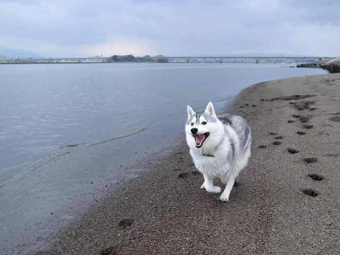 ひと足お先に(^o^)_c0049299_2153576.jpg