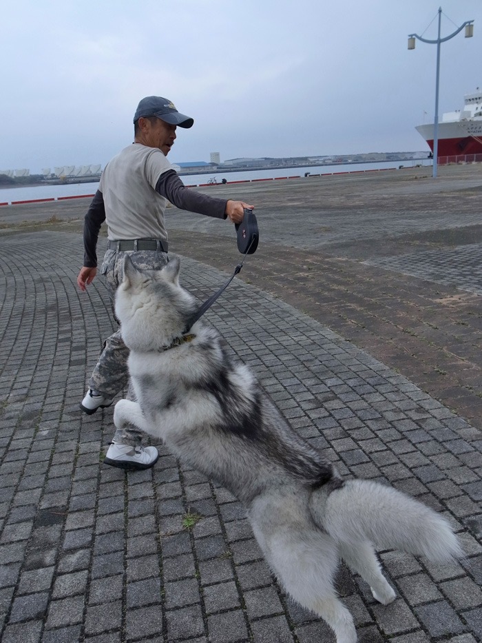 ひと足お先に(^o^)_c0049299_2223219.jpg