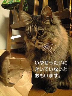 c0035001_16271523.jpg