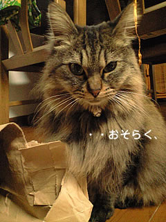 c0035001_16274625.jpg